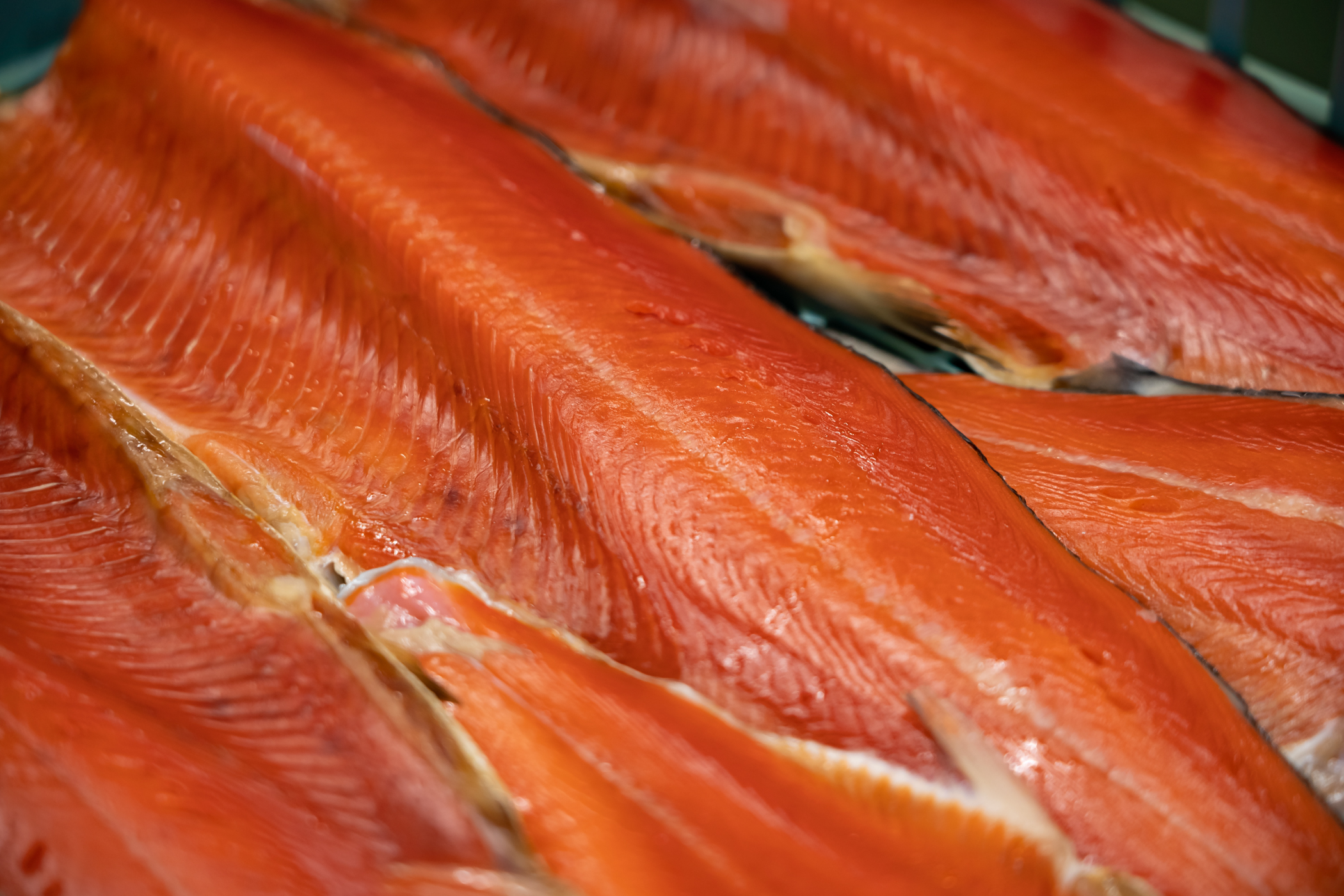 クリエイター画像